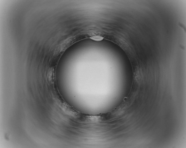 X0000100410233200806131043