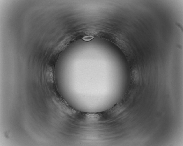 X0000100410234200806131043