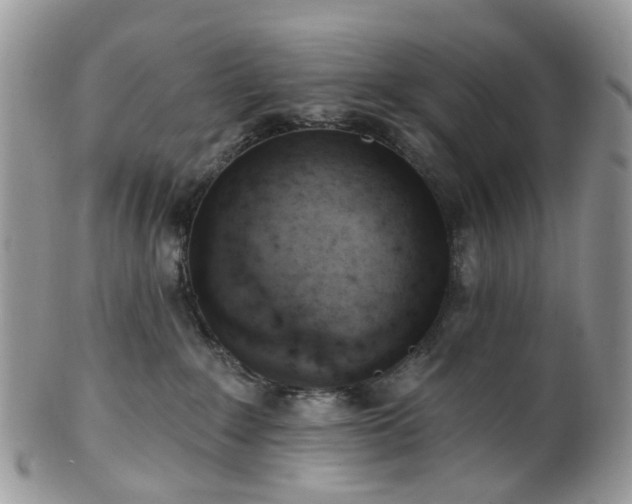 X0000100410235200806131043