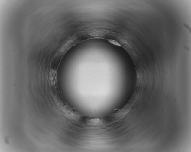 X0000100410237200806131043