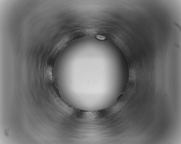 X0000100410238200806131043