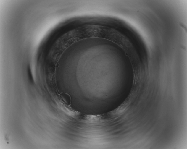 X0000100410239200806131043