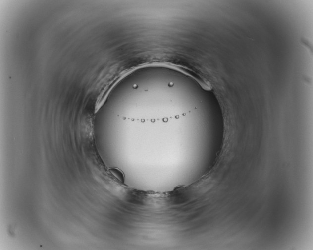 X0000100410240200806131043