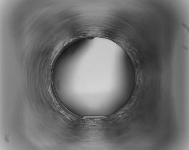 X0000100410241200806131042