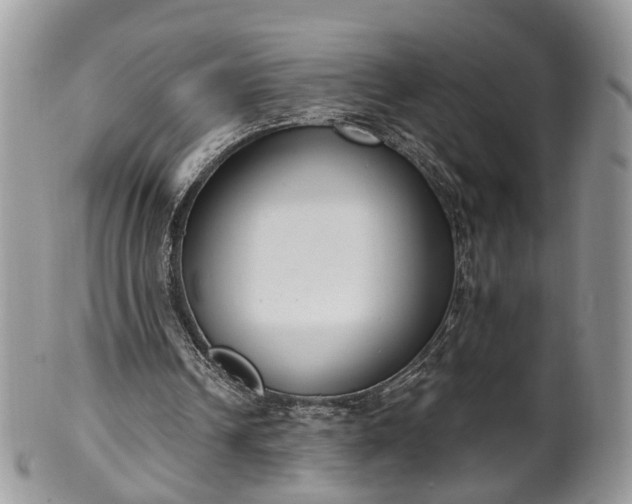 X0000100410242200806131042