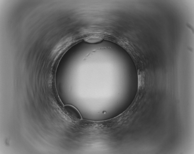 X0000100410243200806131042