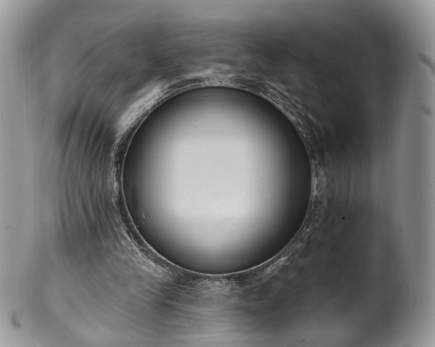 X0000100410245200806131042