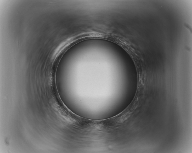 X0000100410247200806131042