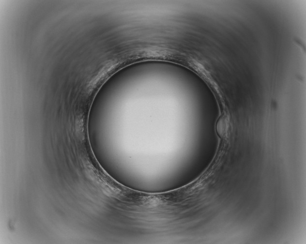 X0000100410249200806131042