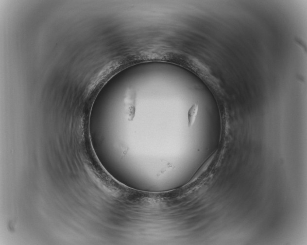 X0000100410250200806131042