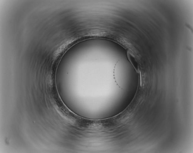 X0000100410252200806131042