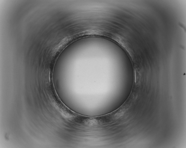 X0000100410253200806131042