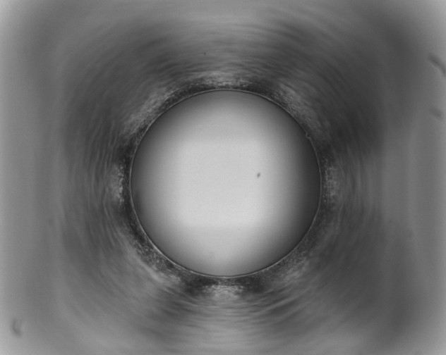 X0000100410255200806131042