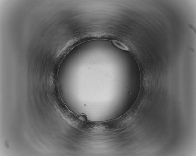 X0000100410256200806131042