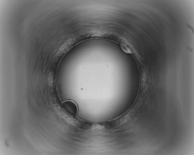 X0000100410257200806131042