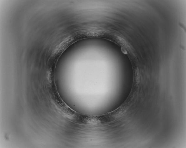 X0000100410258200806131042