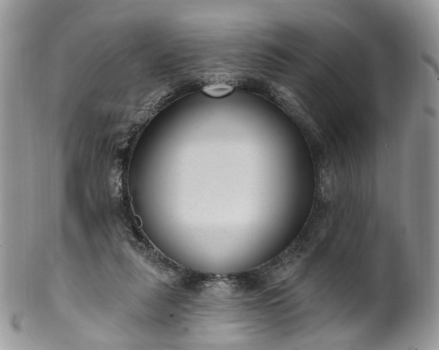 X0000100410259200806131042