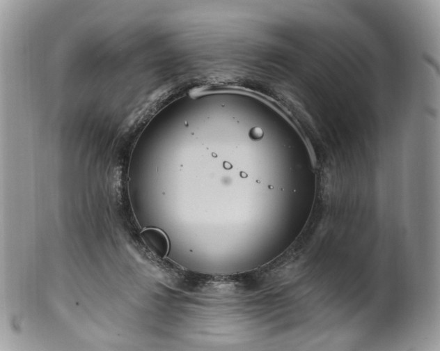 X0000100410260200806131042