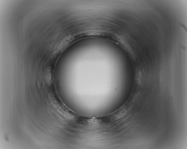 X0000100410261200806131042