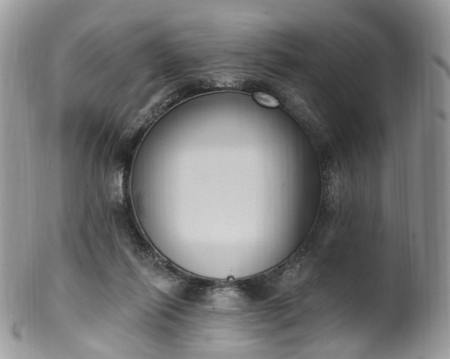 X0000100410262200806131043