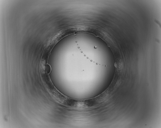 X0000100410264200806131043