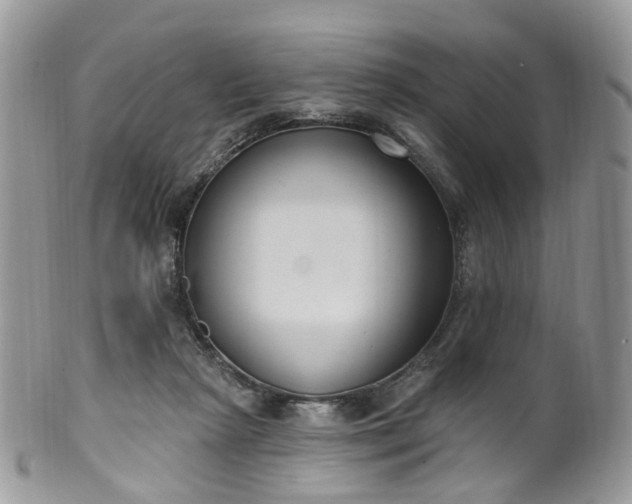 X0000100410265200806131043