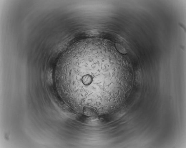 X0000100410267200806131043