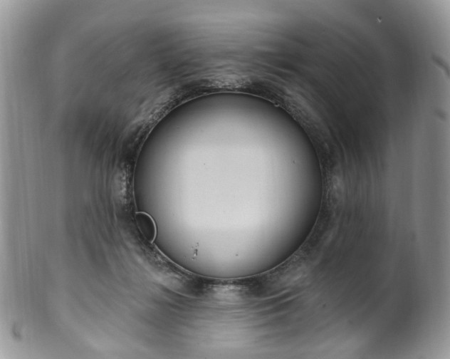 X0000100410268200806131043