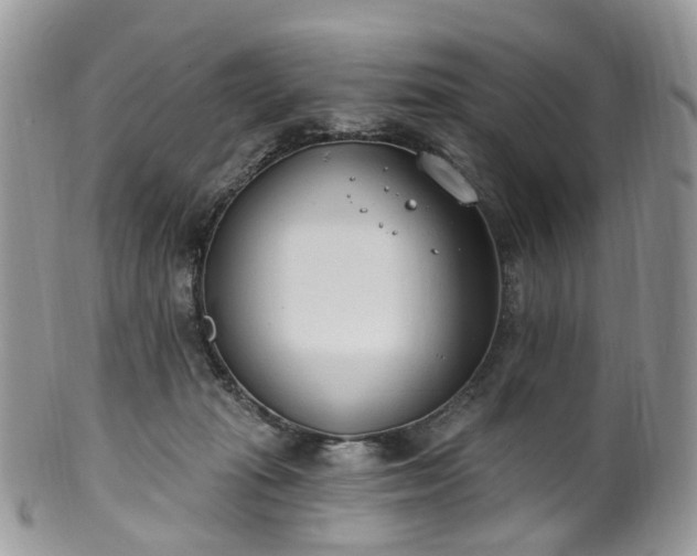 X0000100410269200806131043