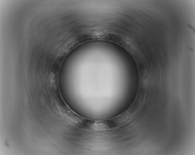 X0000100410270200806131043