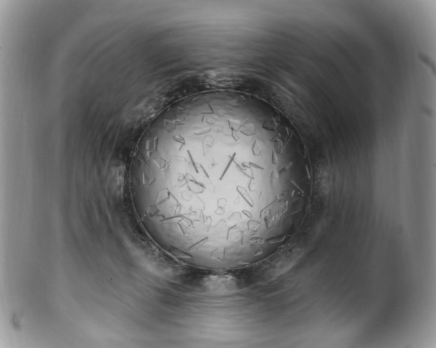 X0000100410271200806131043