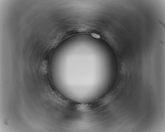 X0000100410273200806131043