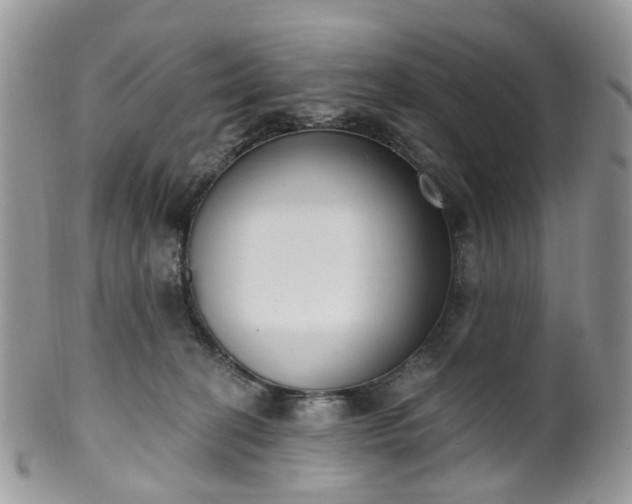 X0000100410274200806131043