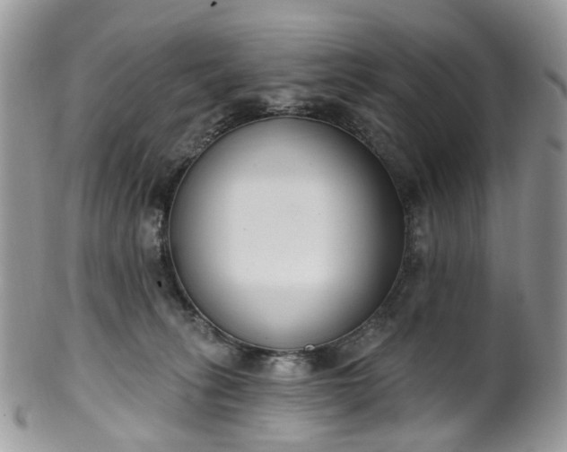 X0000100410275200806131043