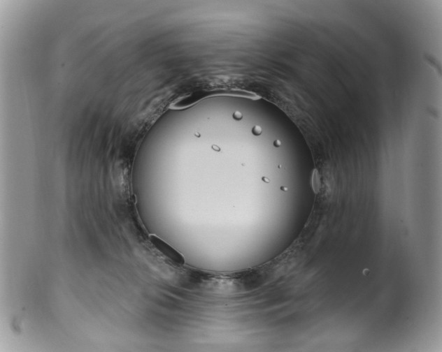 X0000100410276200806131043