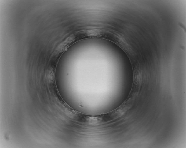 X0000100410277200806131043