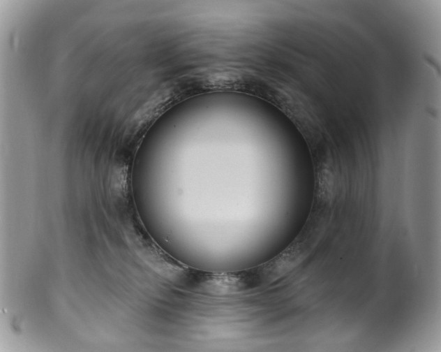 X0000100410278200806131043