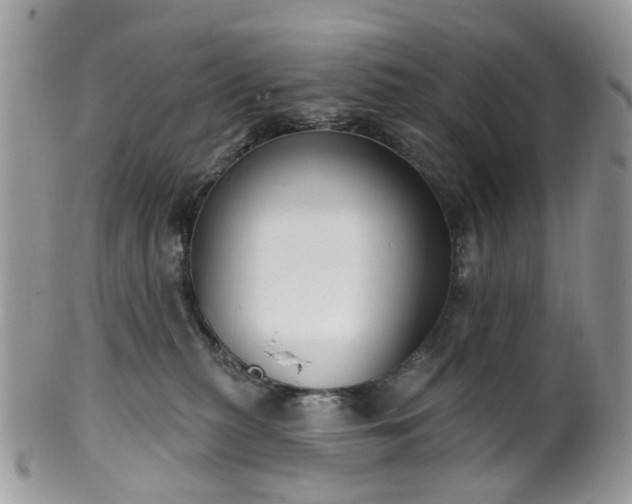 X0000100410279200806131043