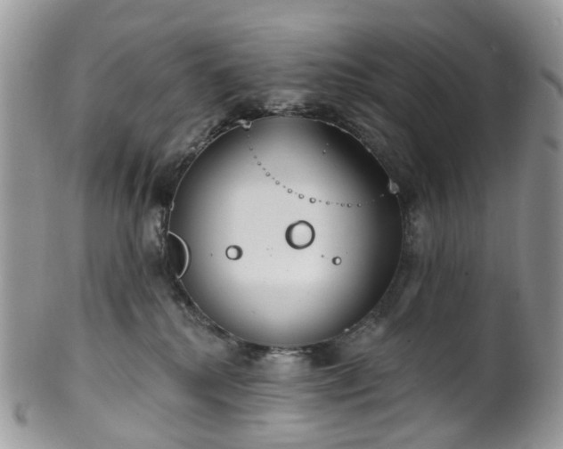 X0000100410280200806131043