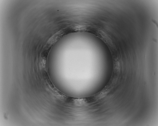 X0000100410281200806131043