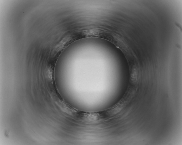 X0000100410282200806131043