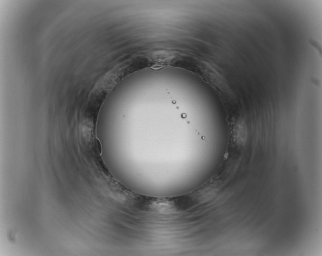 X0000100410283200806131043