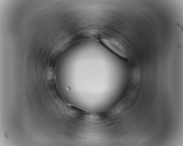 X0000100410284200806131043