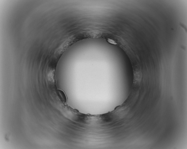 X0000100410286200806131043