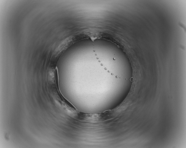 X0000100410288200806131043