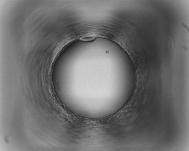 X0000100410289200806131042