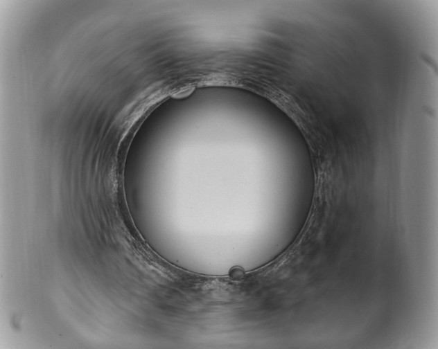 X0000100410290200806131042