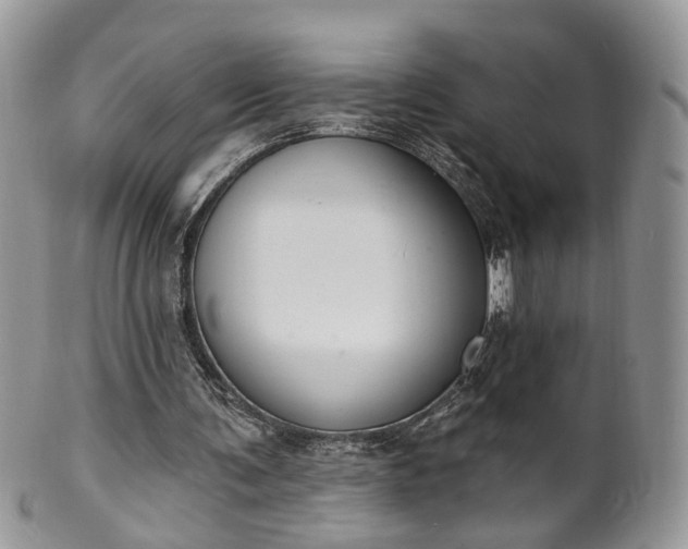 X0000100410291200806131042