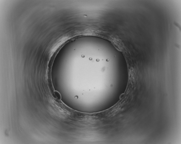 X0000100410292200806131042