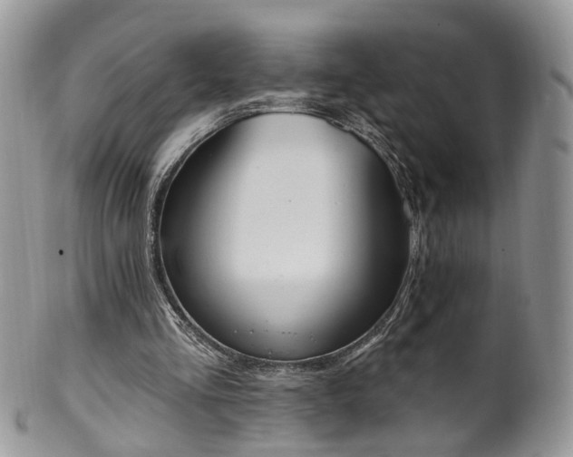 X0000100410293200806131042